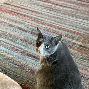 Meet your Posher, Kelly